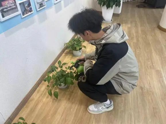 9041